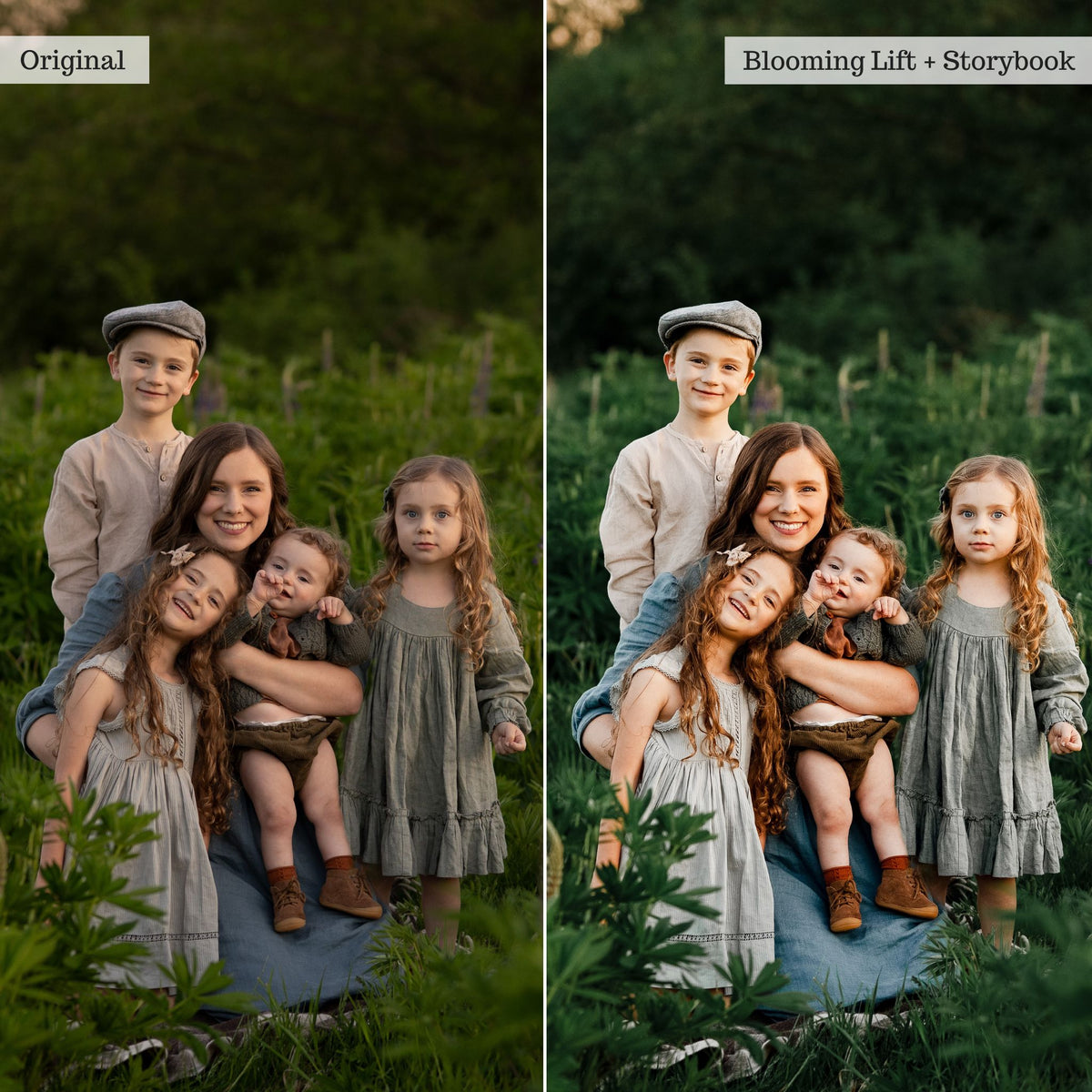 Luxe Pure Color Lightroom Presets & Profiles – Desktop & Mobile