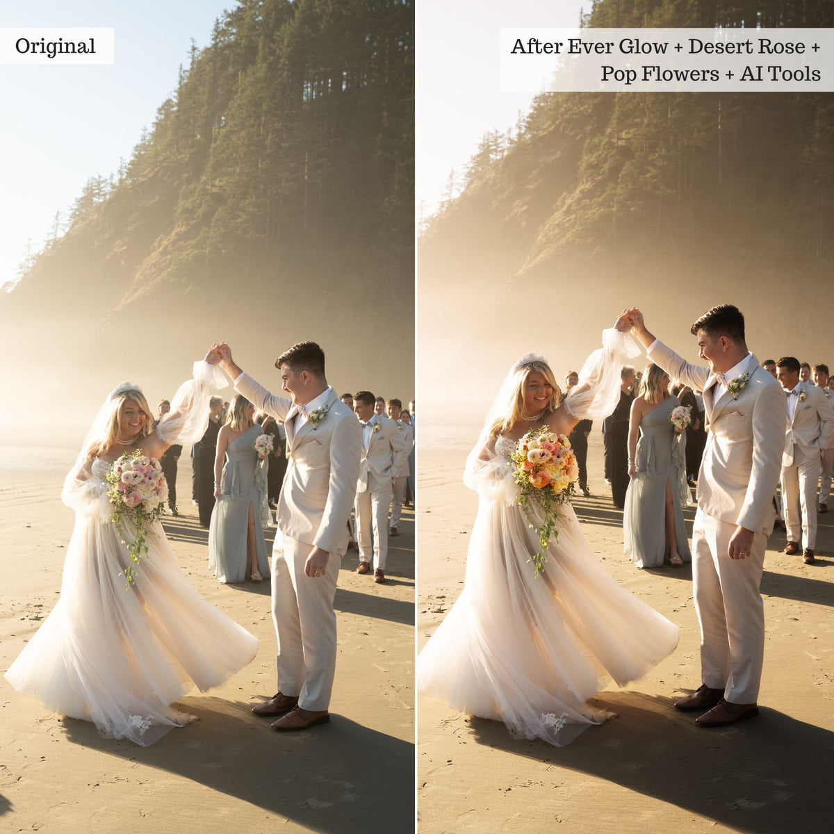 Luxe Weddings 2.0 Photoshop Actions