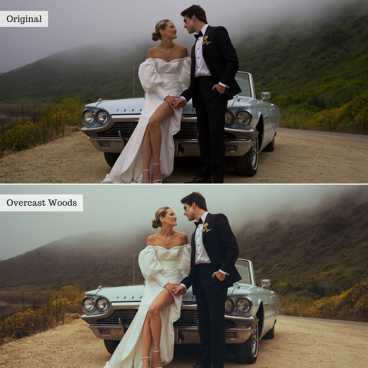 DigiFilm | Autumn Spice 2.0 Lightroom Presets & AI Tools