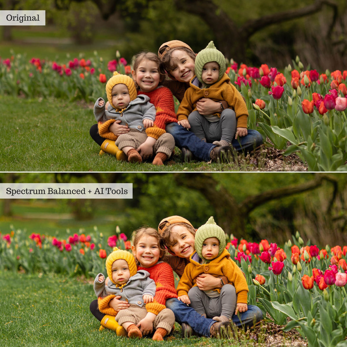 Luxe Wildflowers Spring Lightroom Presets & AI Tools – Desktop & Mobile