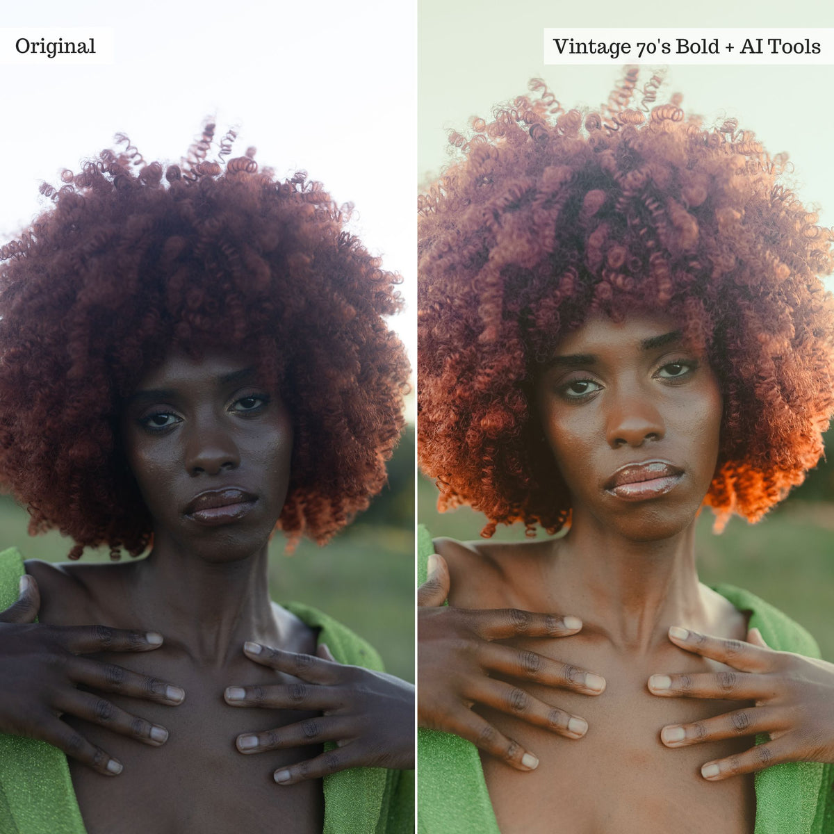 Portraits Professional Workflow Lightroom Presets & AI Tools