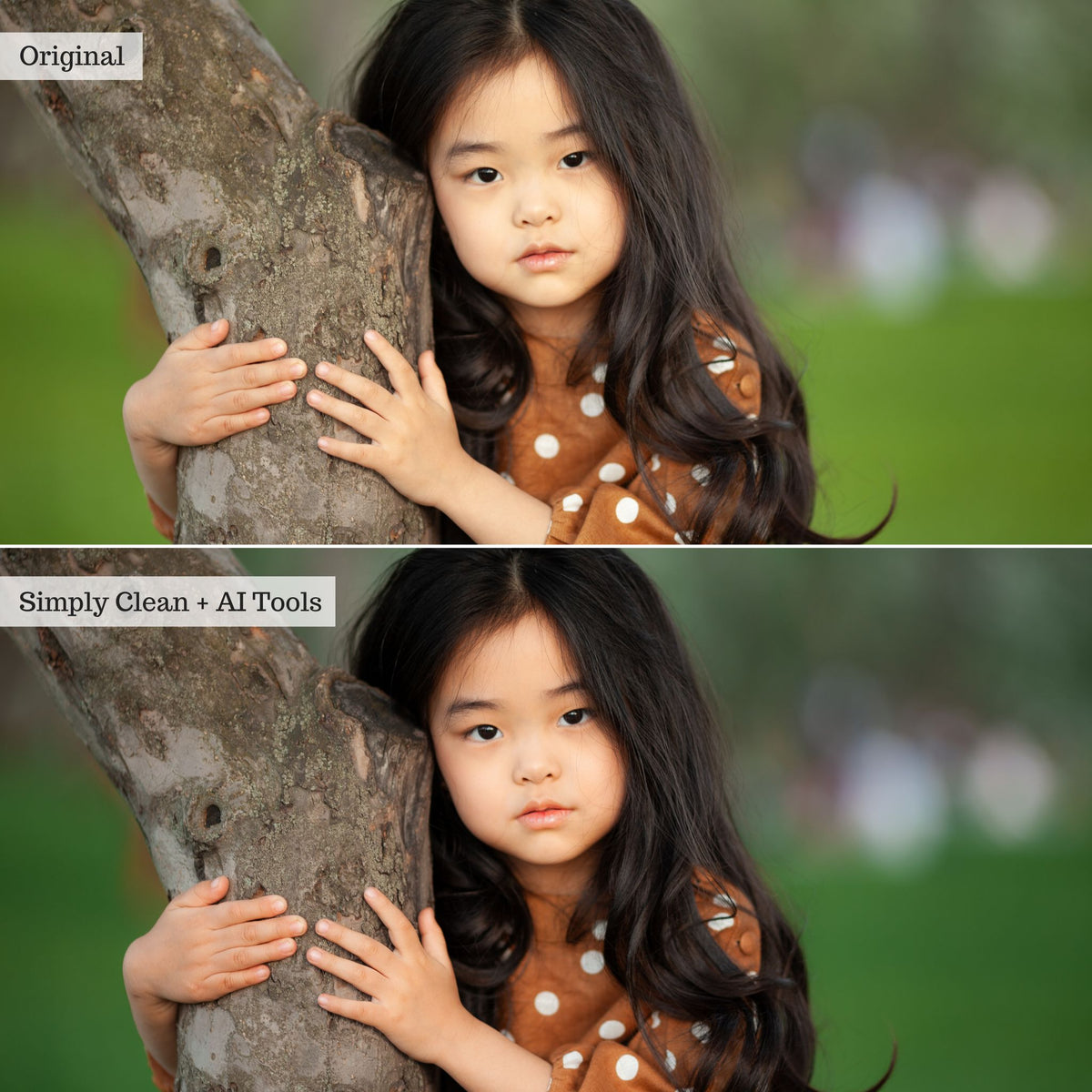 Luxe Perfect Skin Lightroom Presets & AI Tools – Desktop & Mobile