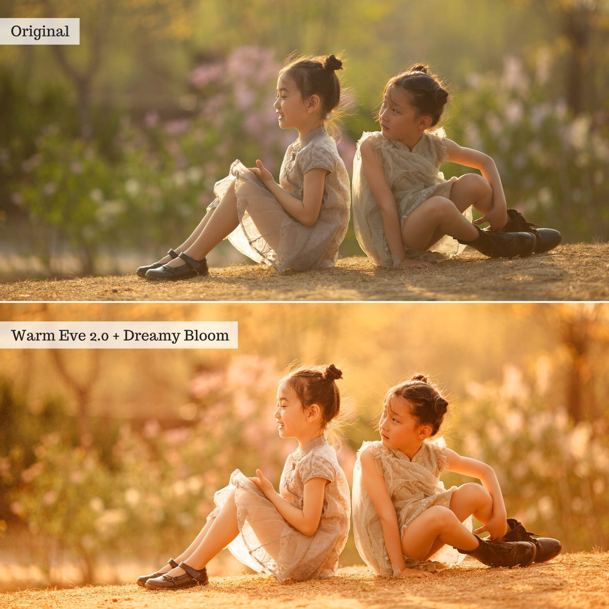 Luxe Golden Hour 2.0 Lightroom Presets – Desktop & Mobile