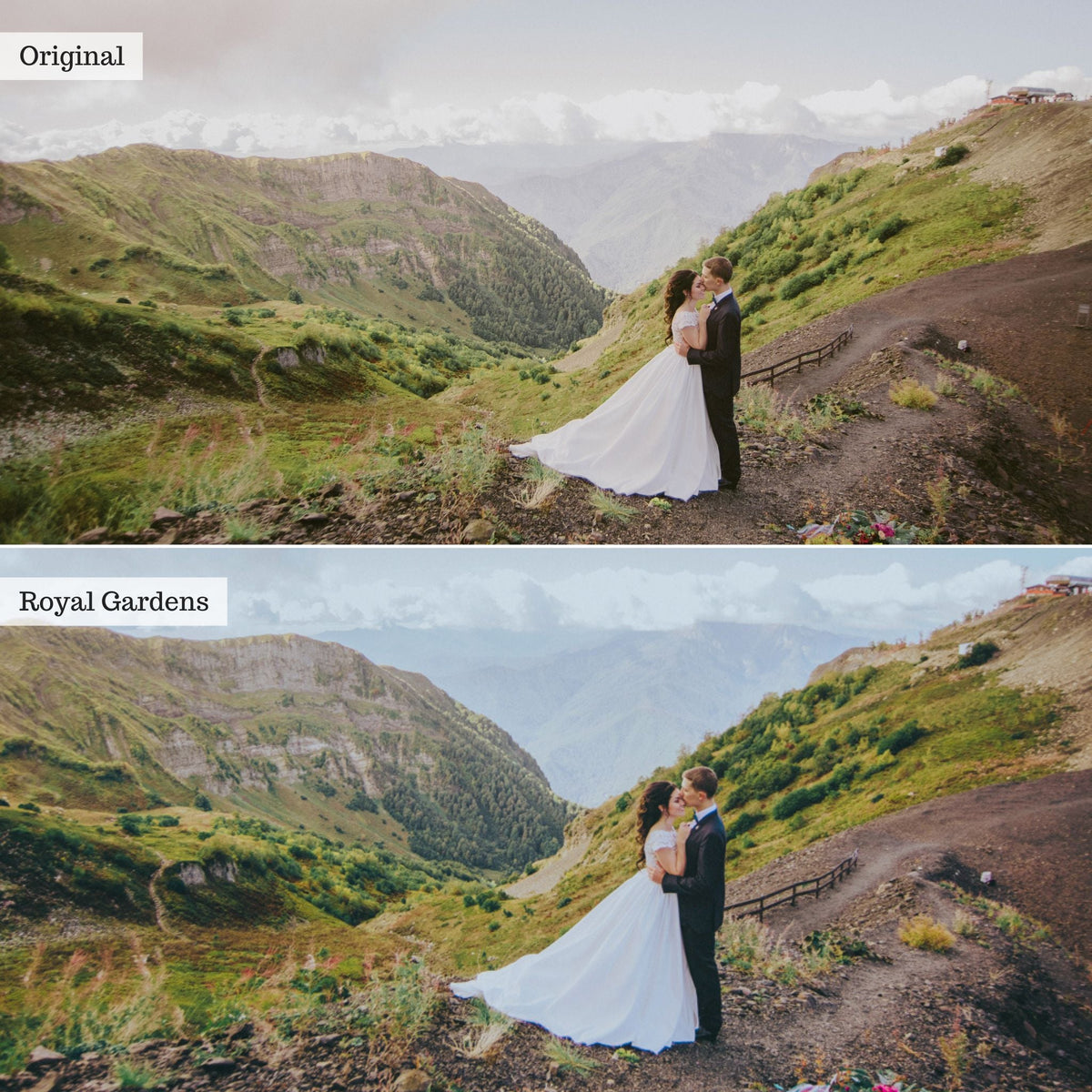 Royal Gardens - Single Color Palette Lightroom Presets & AI Tools