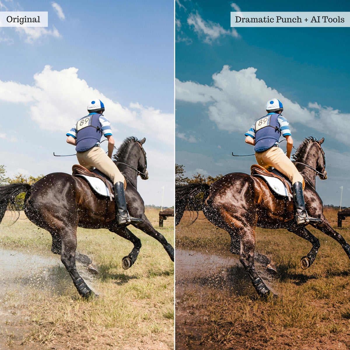 2025 Everything, Entire Store Lightroom Preset Bundle (98 Collections!)