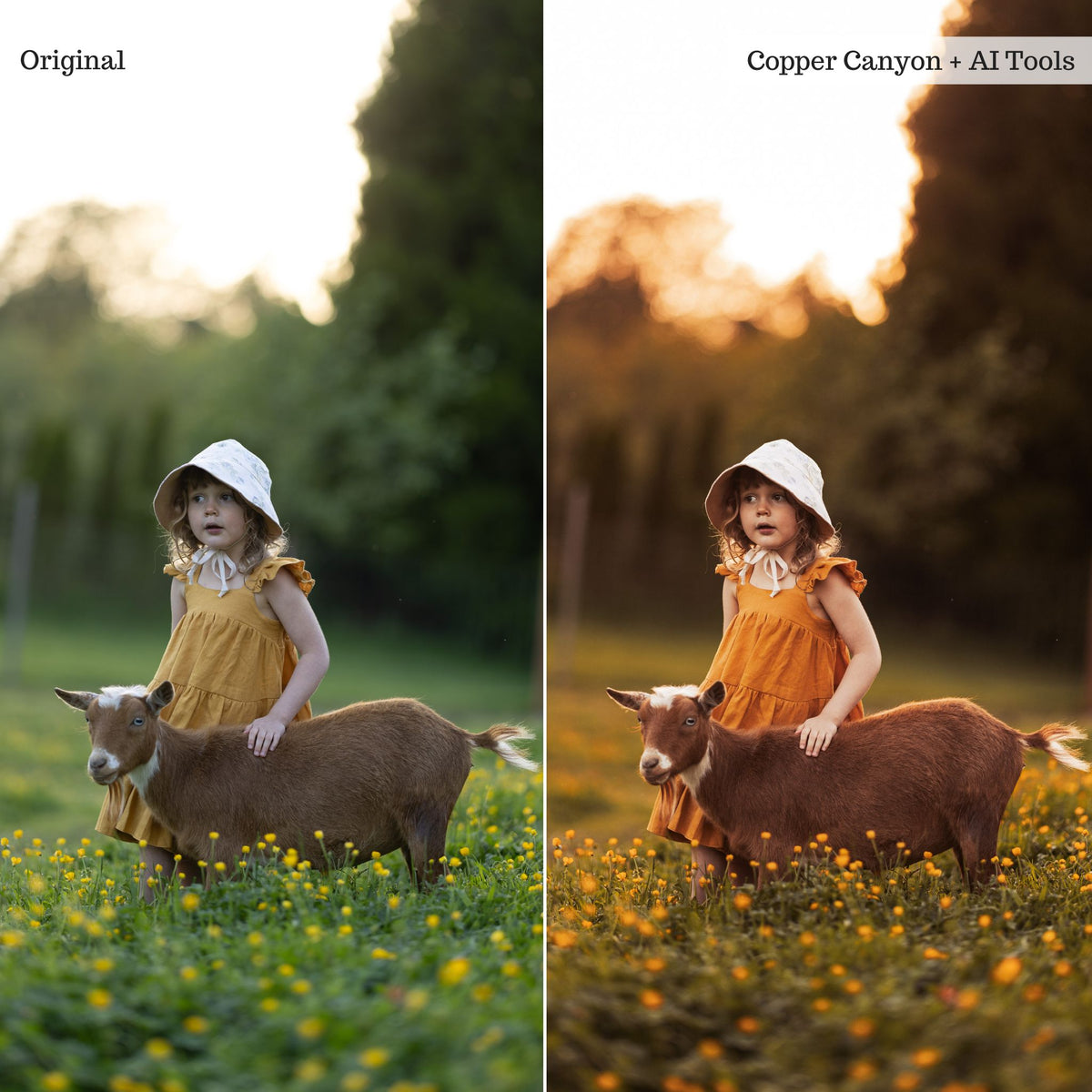 Rustic Farmhouse Lightroom Presets & AI Powered Tools – Desktop & Mobile