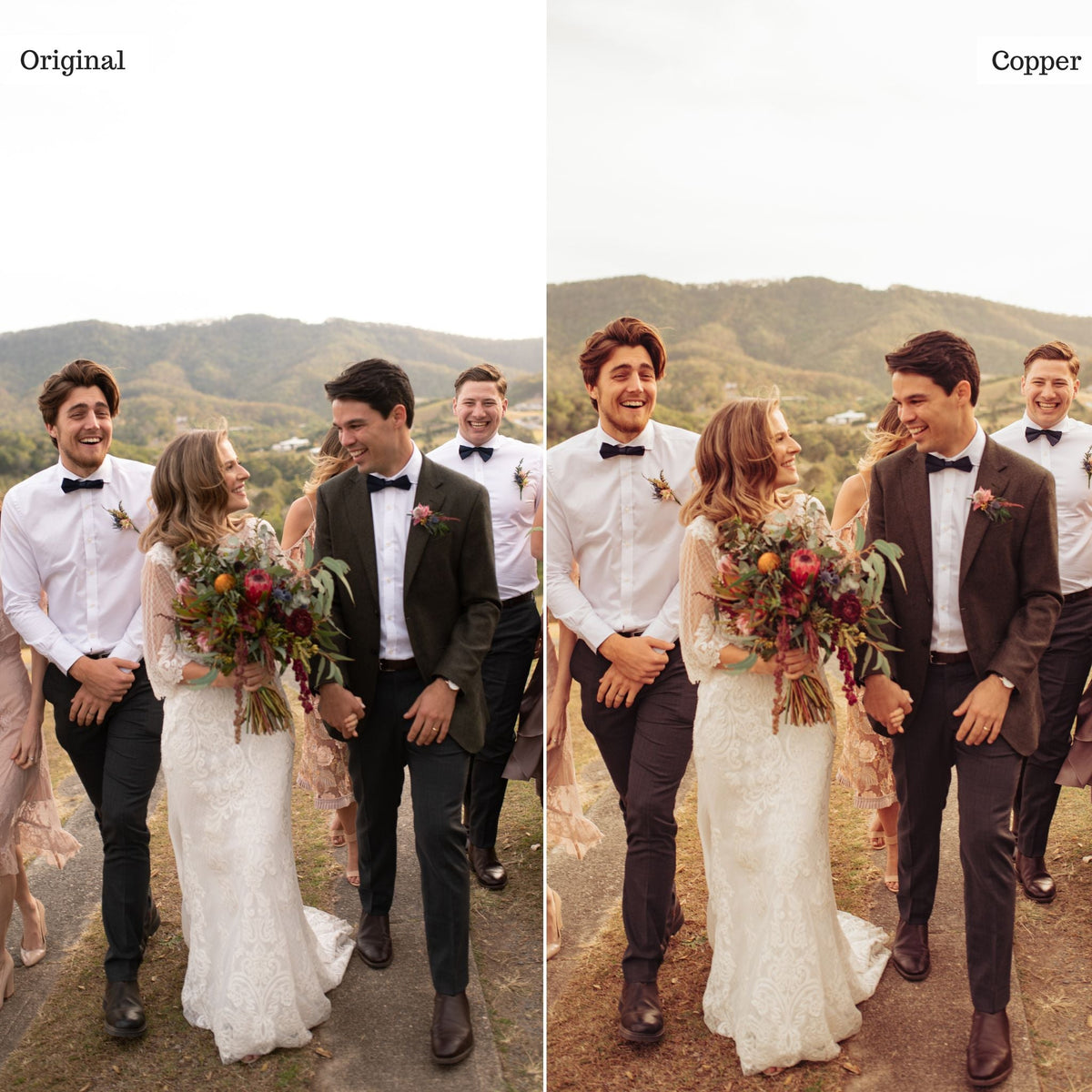Copper - Single Color Palette Lightroom Presets & AI Tools
