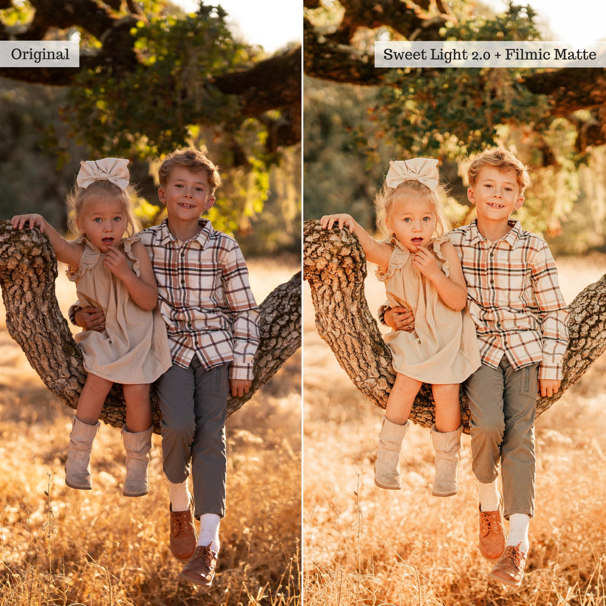 Luxe Golden Hour 2.0 Lightroom Presets – Desktop & Mobile