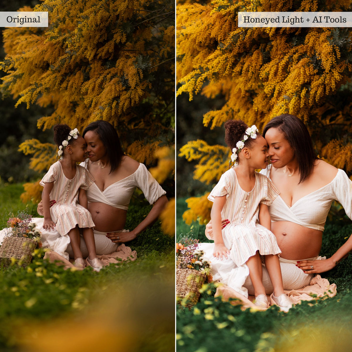 Portraits Professional Workflow Lightroom Presets & AI Tools