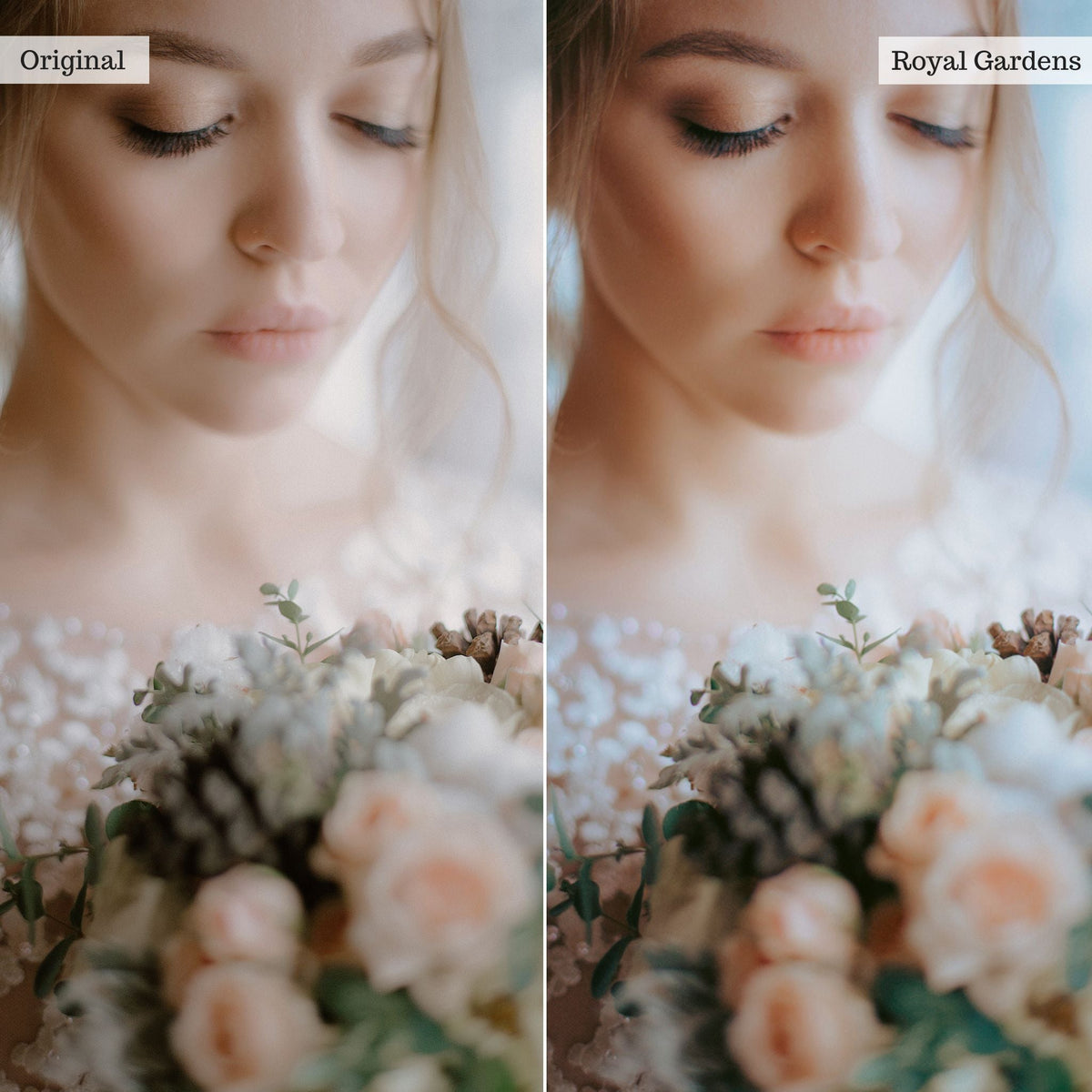 Royal Gardens - Single Color Palette Lightroom Presets & AI Tools