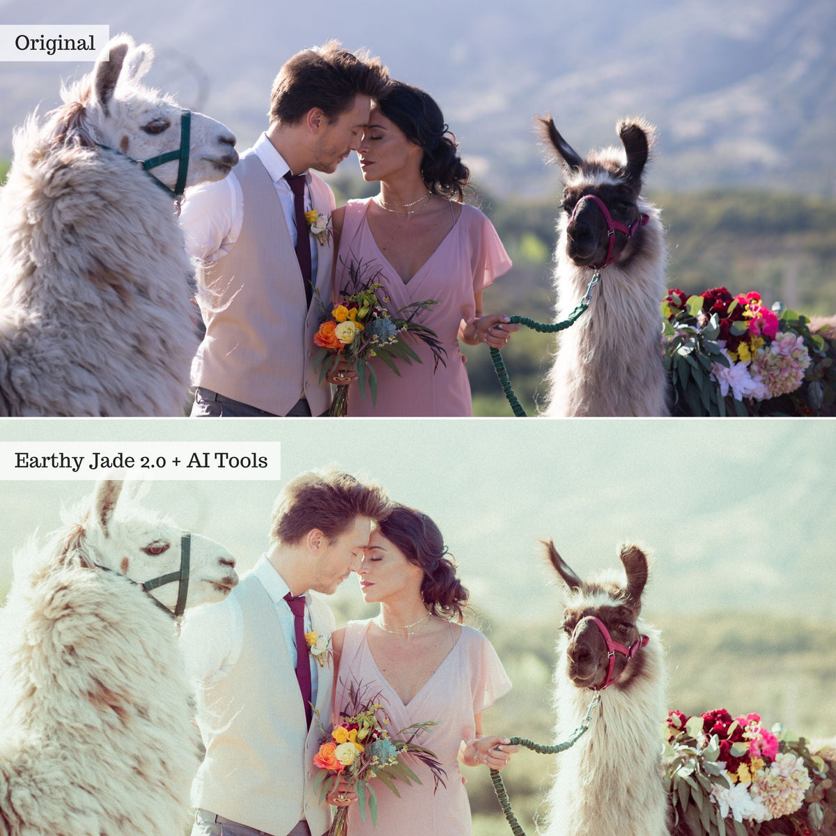 DigiFilm | Lumena 2.0 Lightroom Presets & AI Tools