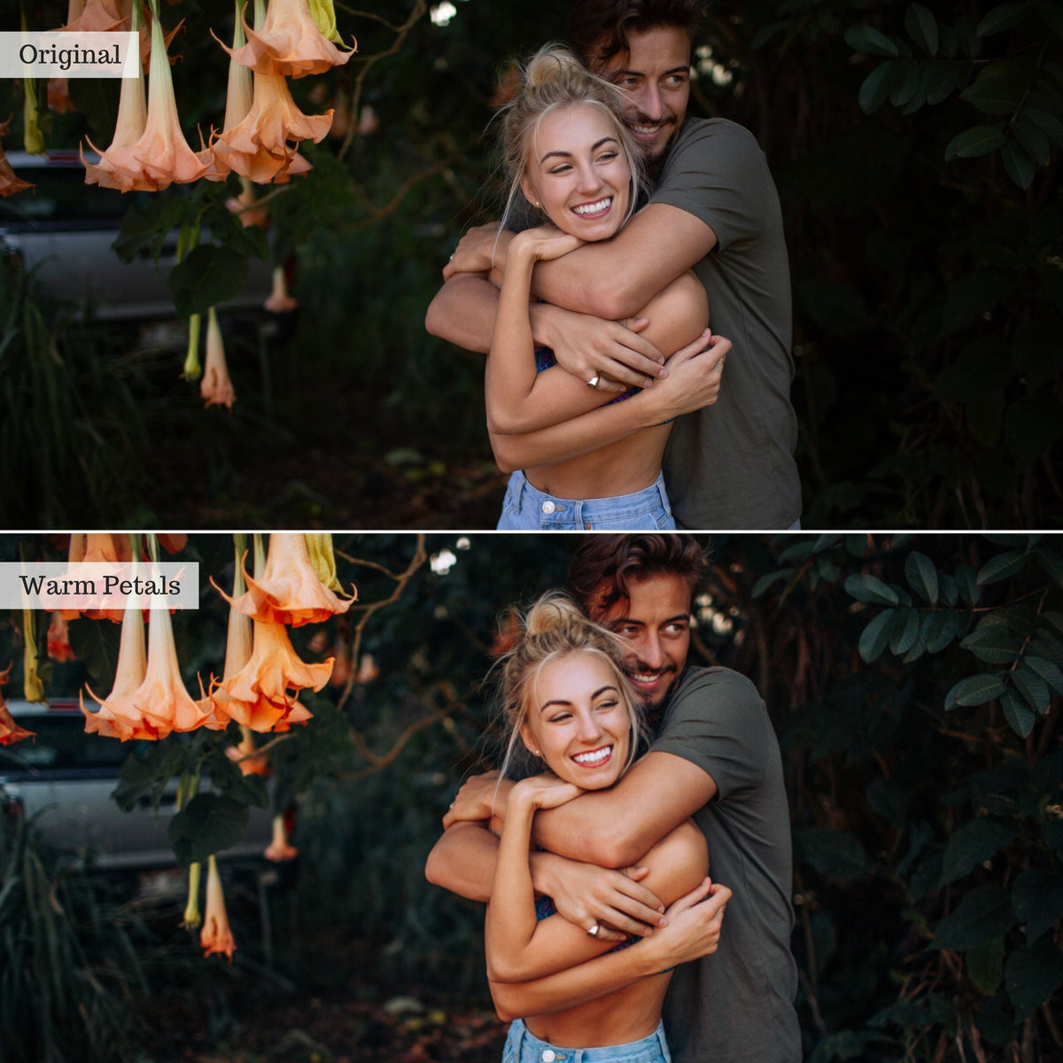 Warm Petals - Single Color Palette Lightroom Presets & AI Tools