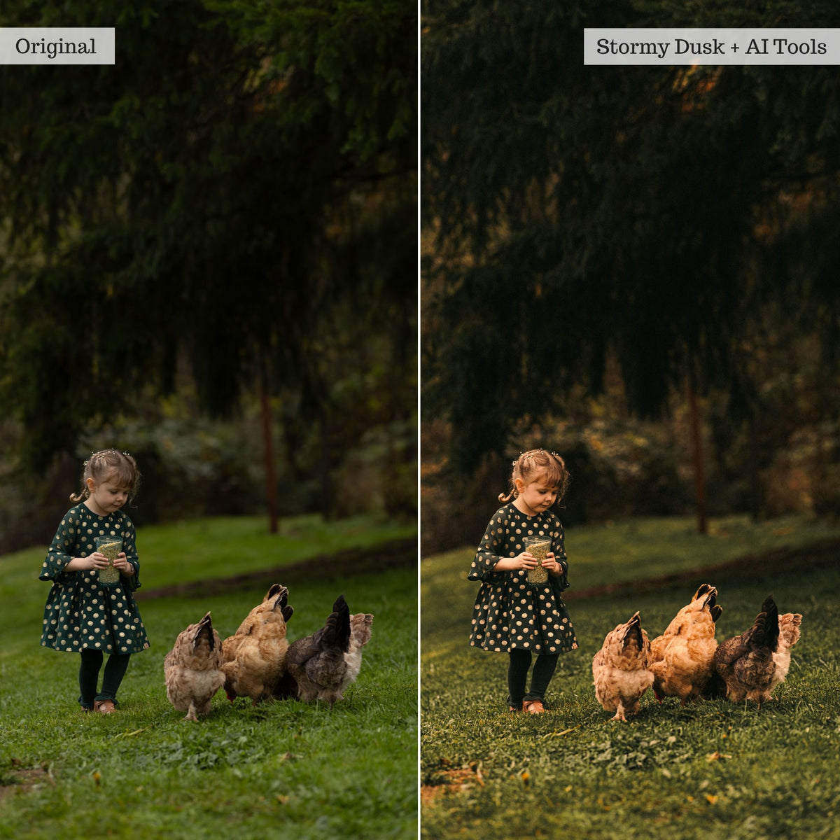 Rustic Farmhouse Lightroom Presets & AI Powered Tools – Desktop & Mobile