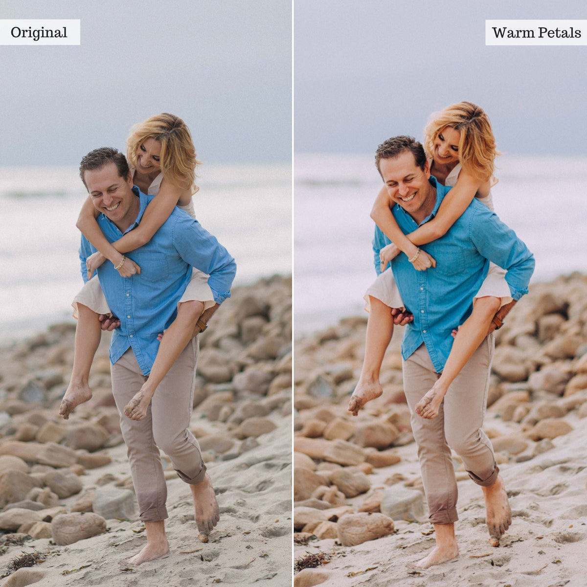 Warm Petals - Single Color Palette Lightroom Presets & AI Tools