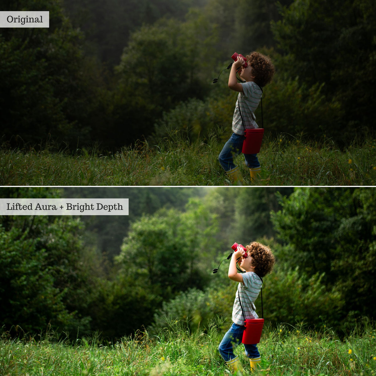 Luxe Pure Color Lightroom Presets & Profiles – Desktop & Mobile