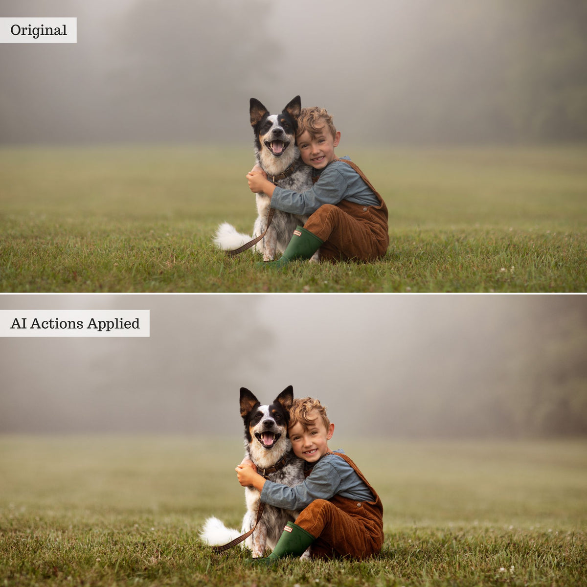 Luxe Quick Fix AI Photoshop Actions