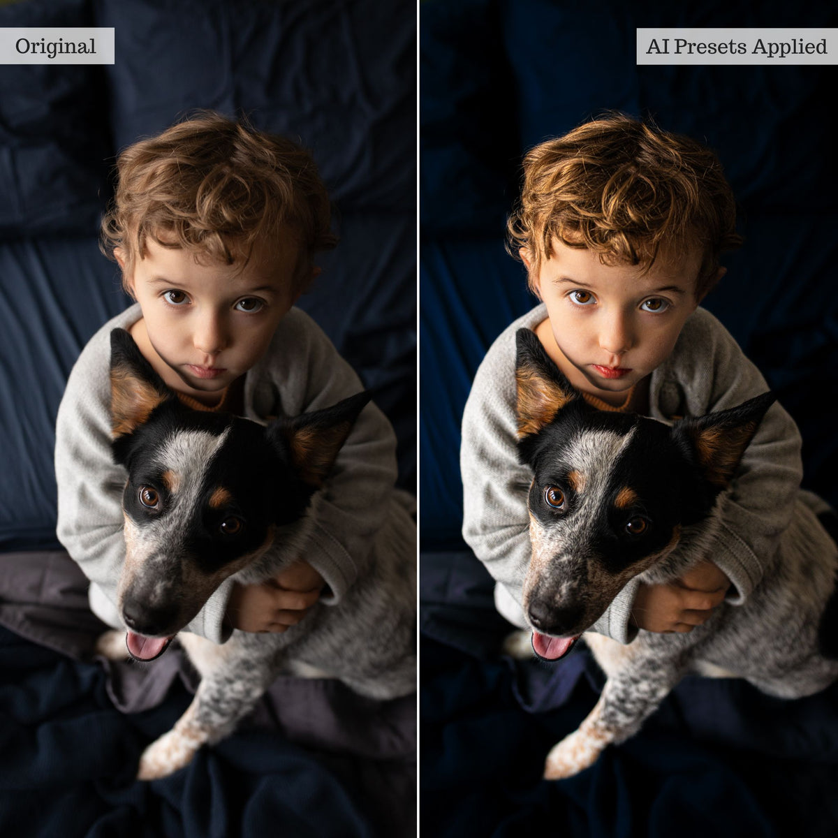 Luxe AI Adaptive Retouch Toolkit Lightroom BUNDLE (6 Collections) – Desktop & Mobile