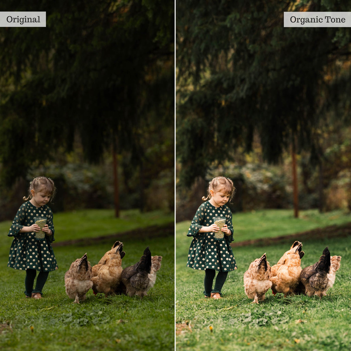 Luxe Pure Color Lightroom Presets & Profiles – Desktop & Mobile