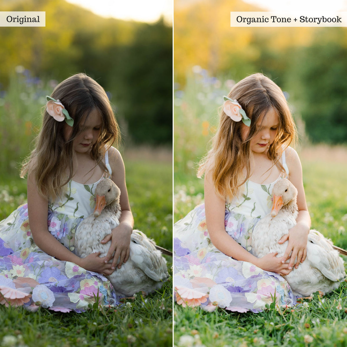 Luxe Pure Color Lightroom Presets & Profiles – Desktop & Mobile