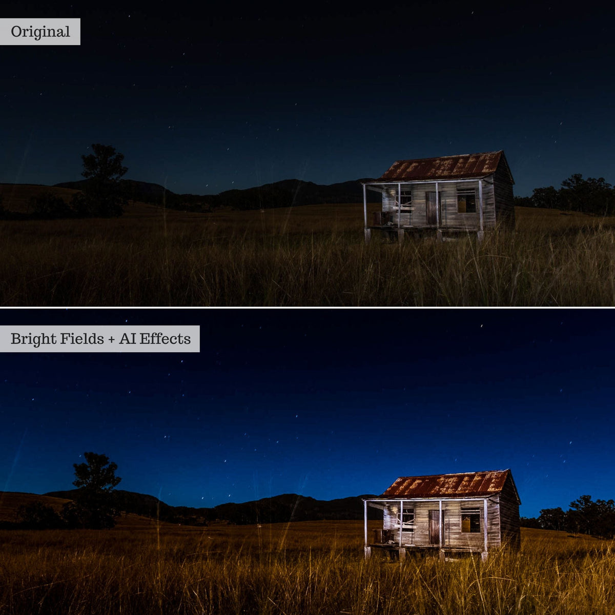 Elements - Landscapes & Wildlife 2.0 Lightroom Presets & AI Powered Tools – Desktop & Mobile