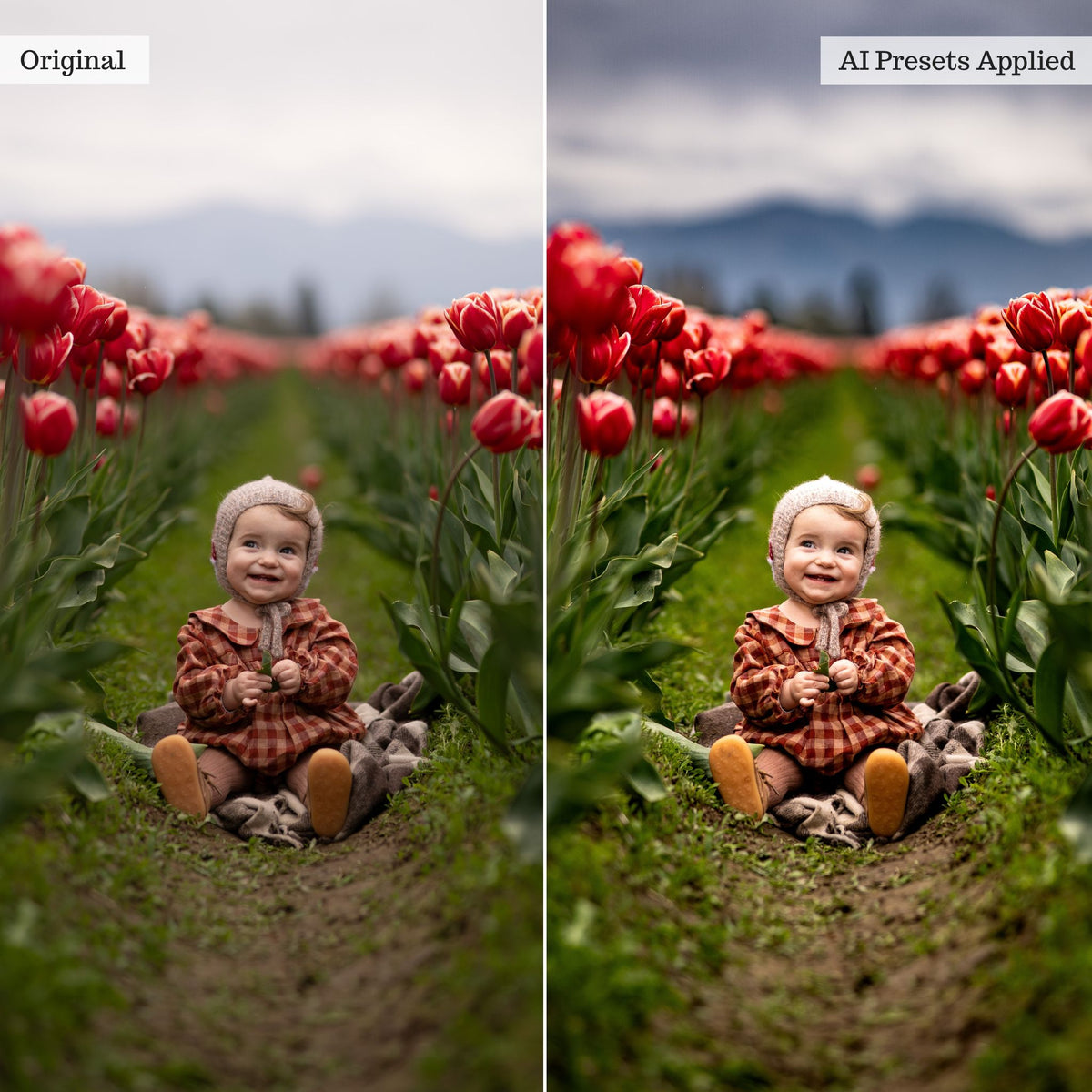 Luxe Quick Fix AI Adaptive Retouch Toolkit Lightroom Presets – Desktop & Mobile