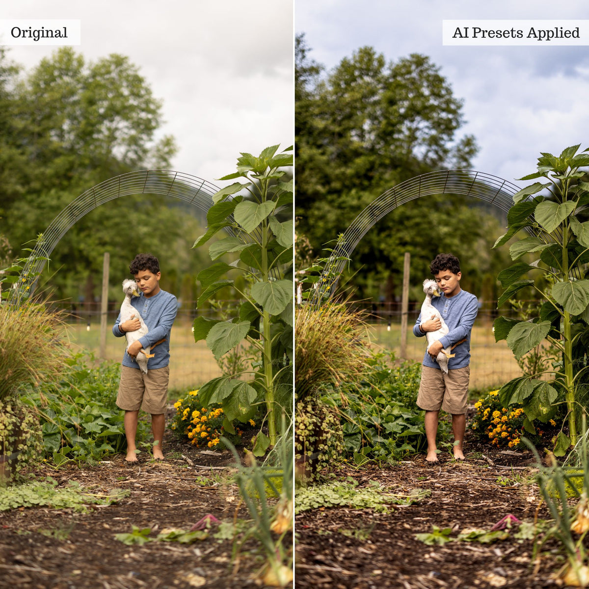 Luxe Quick Fix AI Adaptive Retouch Toolkit Lightroom Presets – Desktop & Mobile