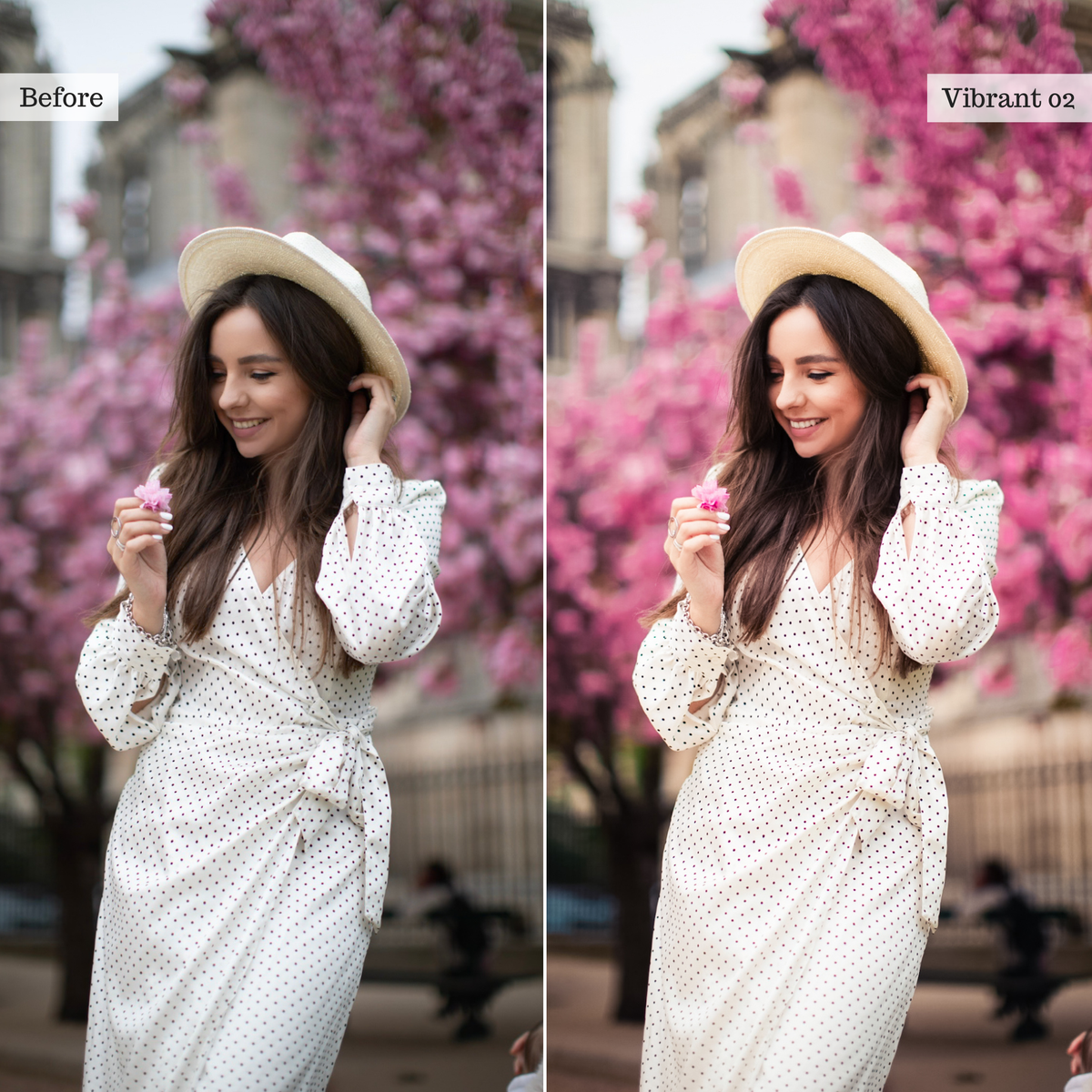 The Everyday Edit - Luxe Creator Palette Presets for Lightroom Mobile & Desktop