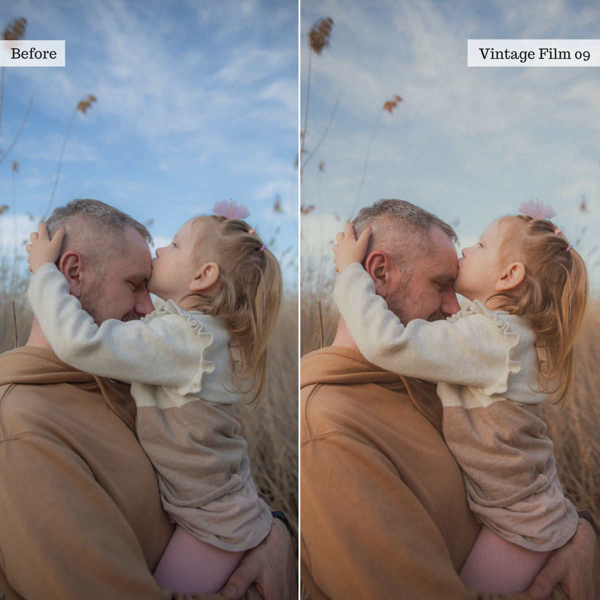 The Everyday Edit - Luxe Creator Palette Presets for Lightroom Mobile & Desktop
