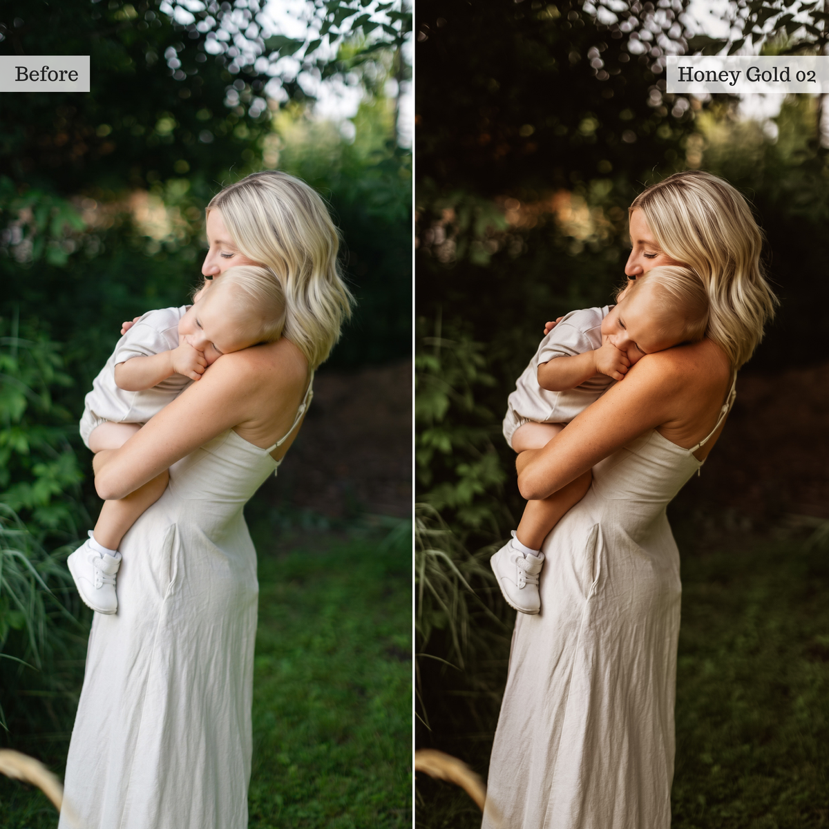 The Golden Edit - Luxe Creator Palette Presets for Lightroom Mobile & Desktop