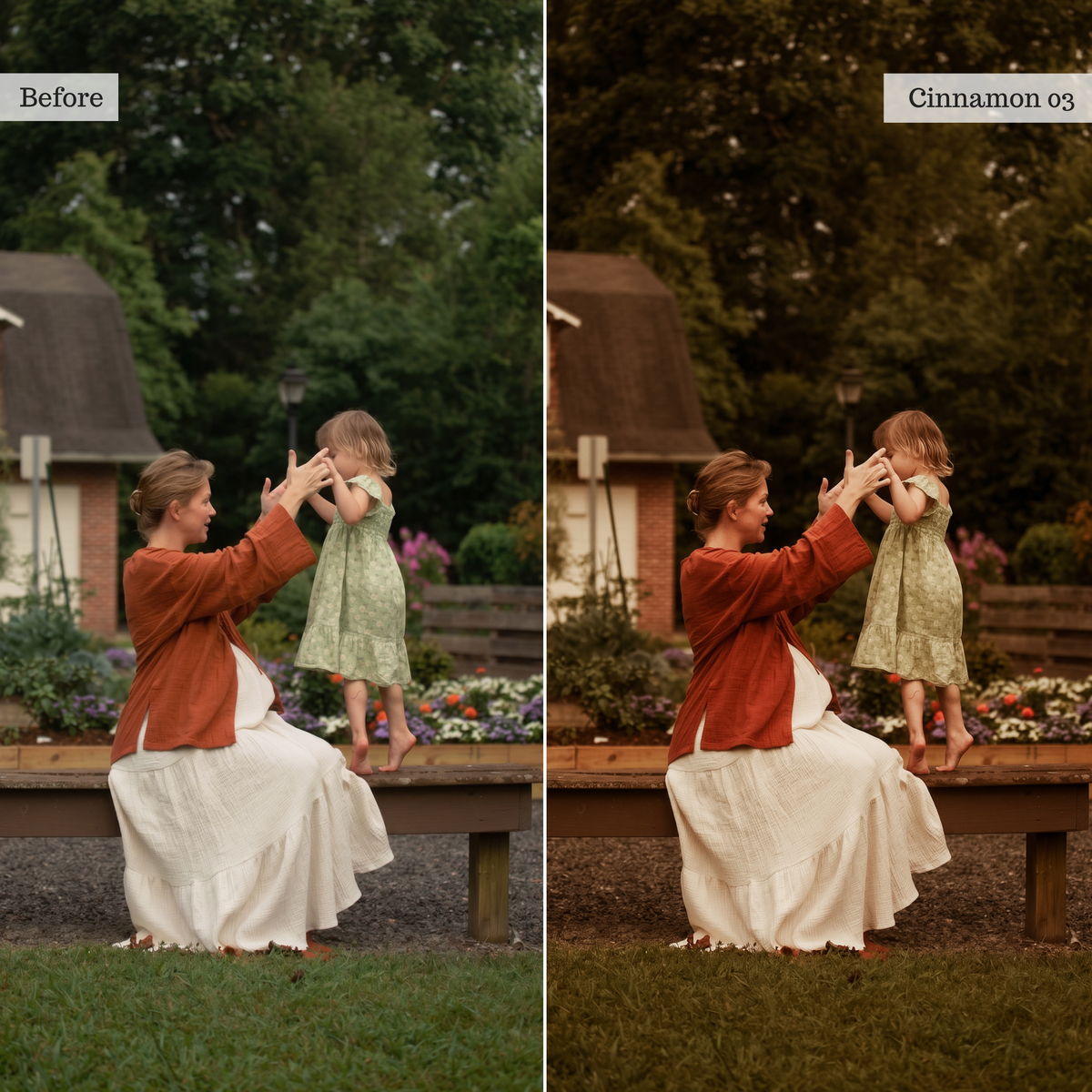 The Golden Edit - Luxe Creator Palette Presets for Lightroom Mobile & Desktop