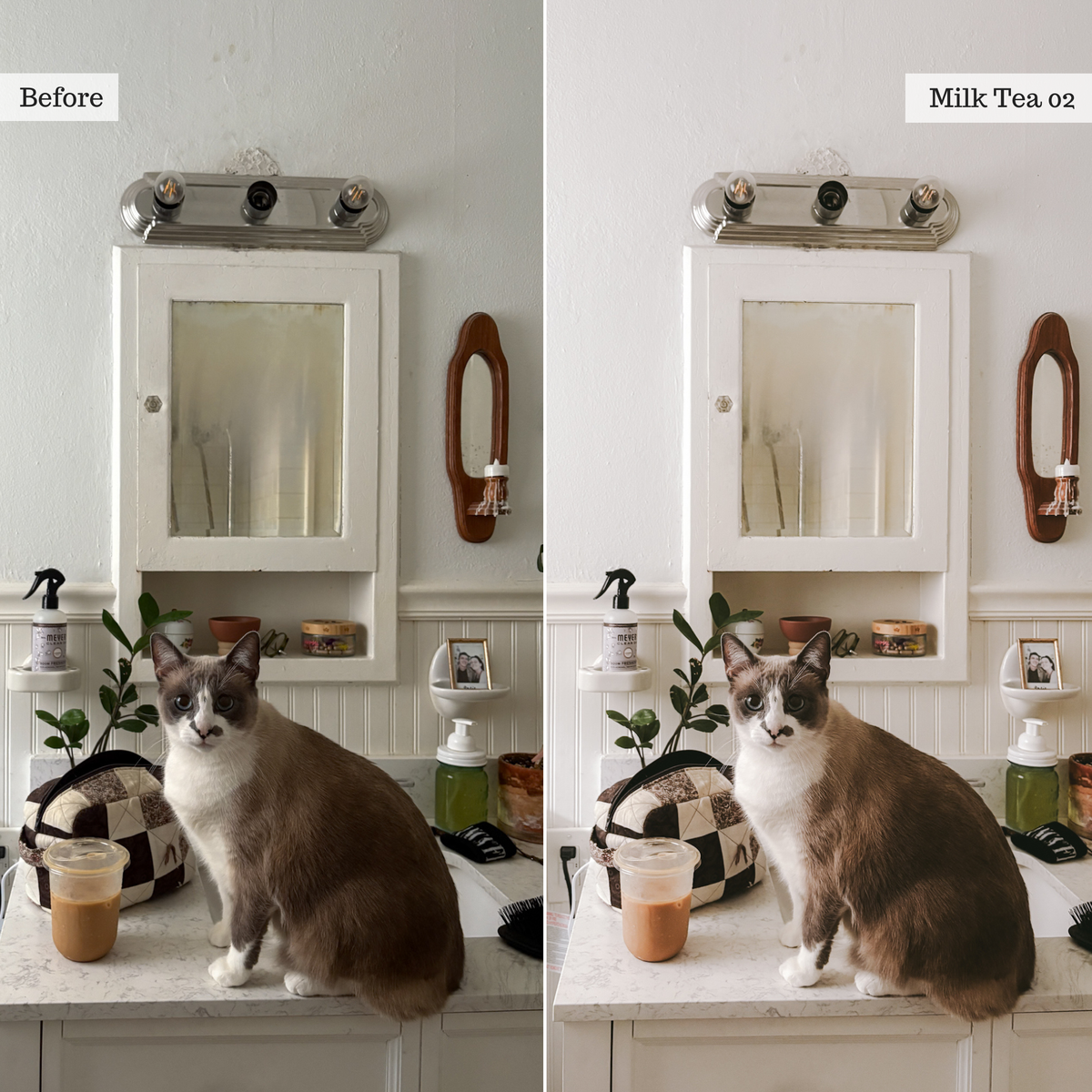 The Home Edit - Luxe Creator Palette Presets for Lightroom Mobile & Desktop
