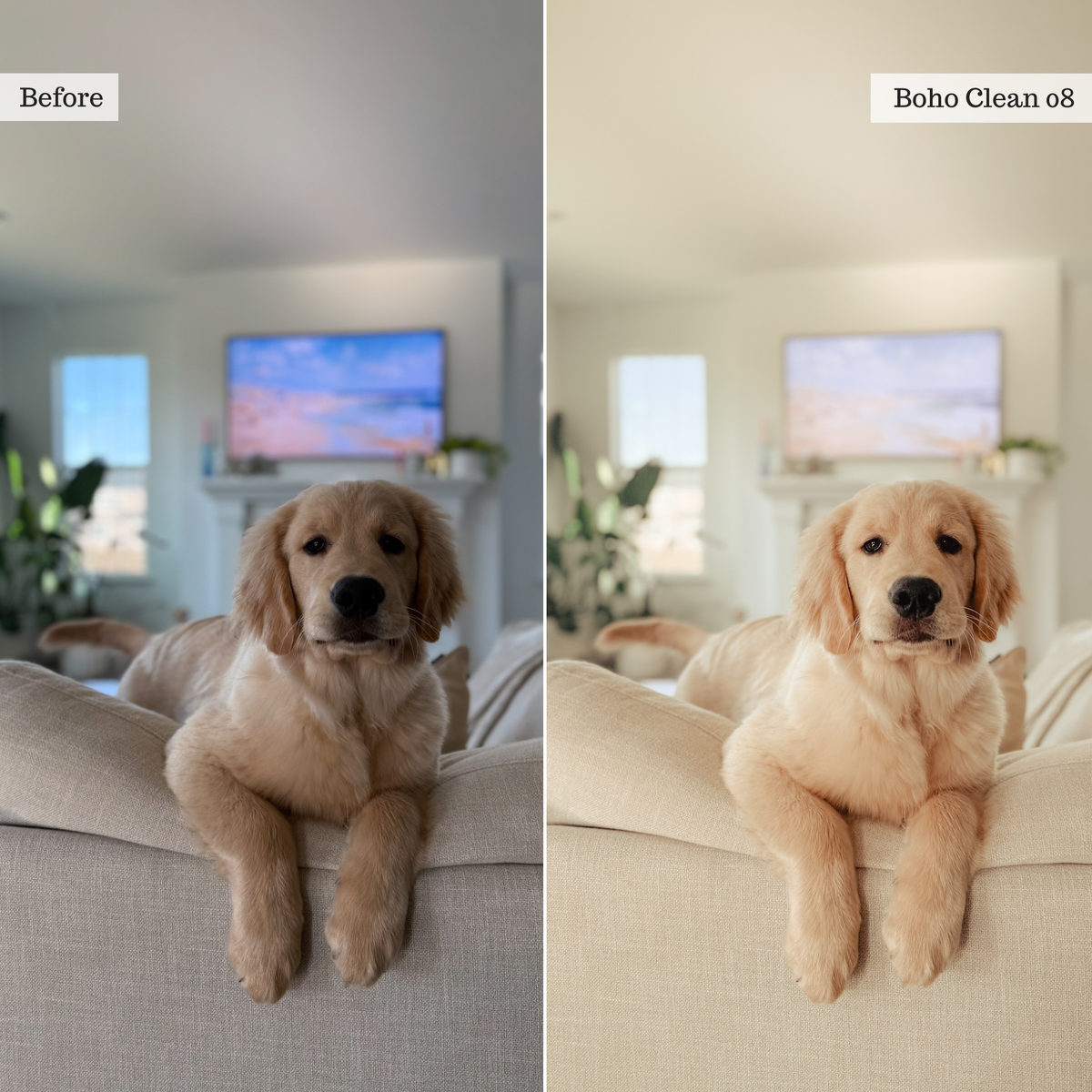 The Home Edit - Luxe Creator Palette Presets for Lightroom Mobile & Desktop