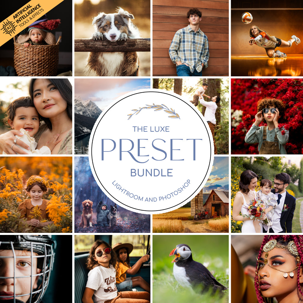 Luxe Preset Bundle (34 collections) for Lightroom & Photoshop – Desktop & Mobile