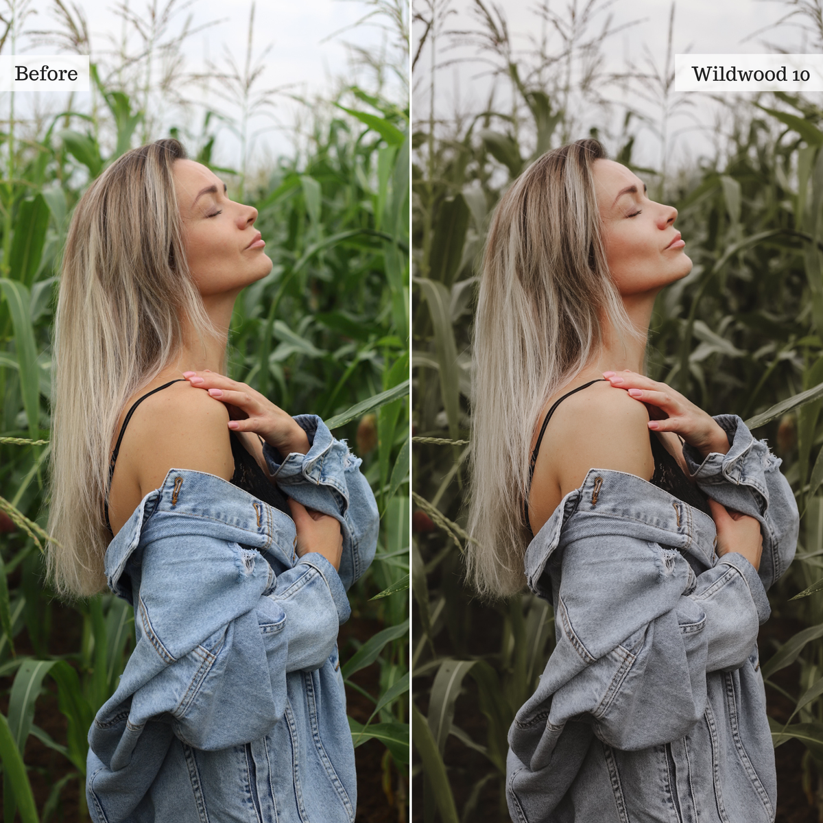 The Mood Edit - Luxe Creator Palette Presets for Lightroom Mobile & Desktop