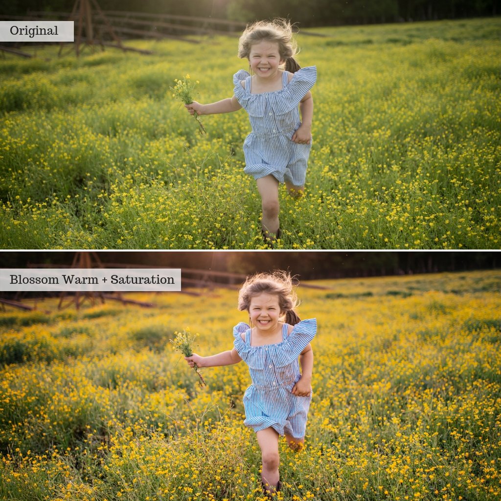 2025 Everything, Entire Store Lightroom Preset Bundle (98 Collections!)