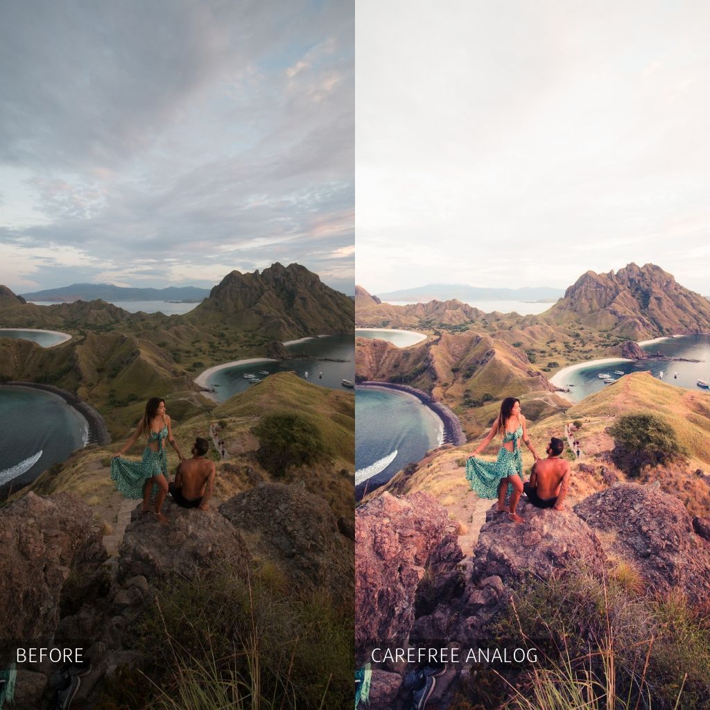 2025 Everything, Entire Store Lightroom Preset Bundle (98 Collections!)