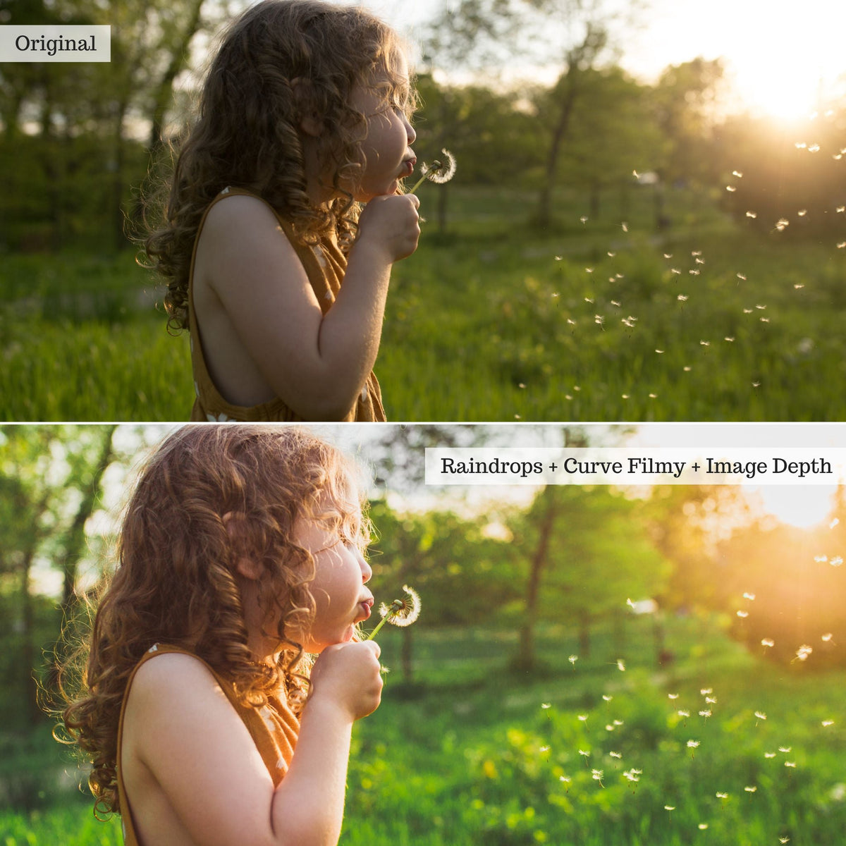 Clover n' Honey Spring & Summer Lightroom Presets – Desktop & Mobile