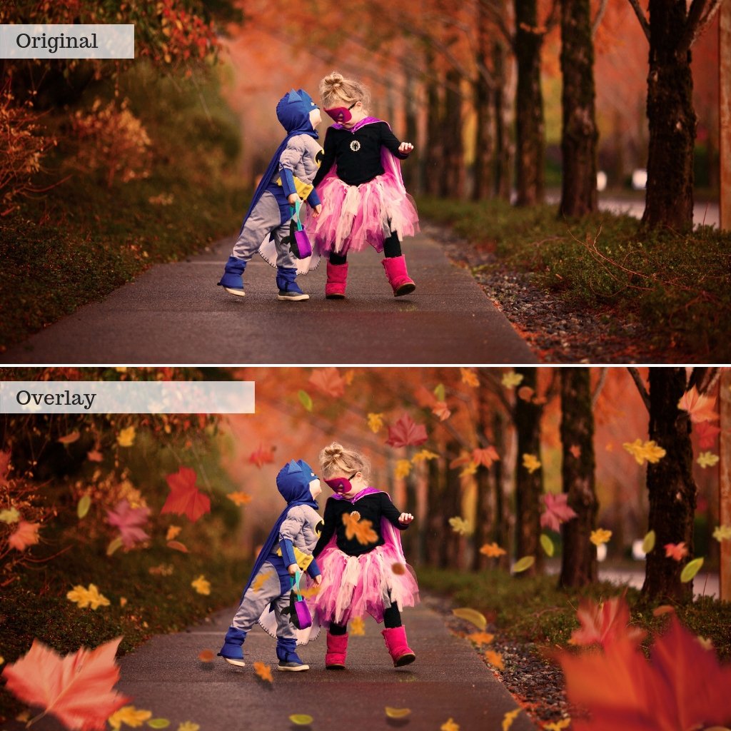 Leaf Overlays – Photoshop & More