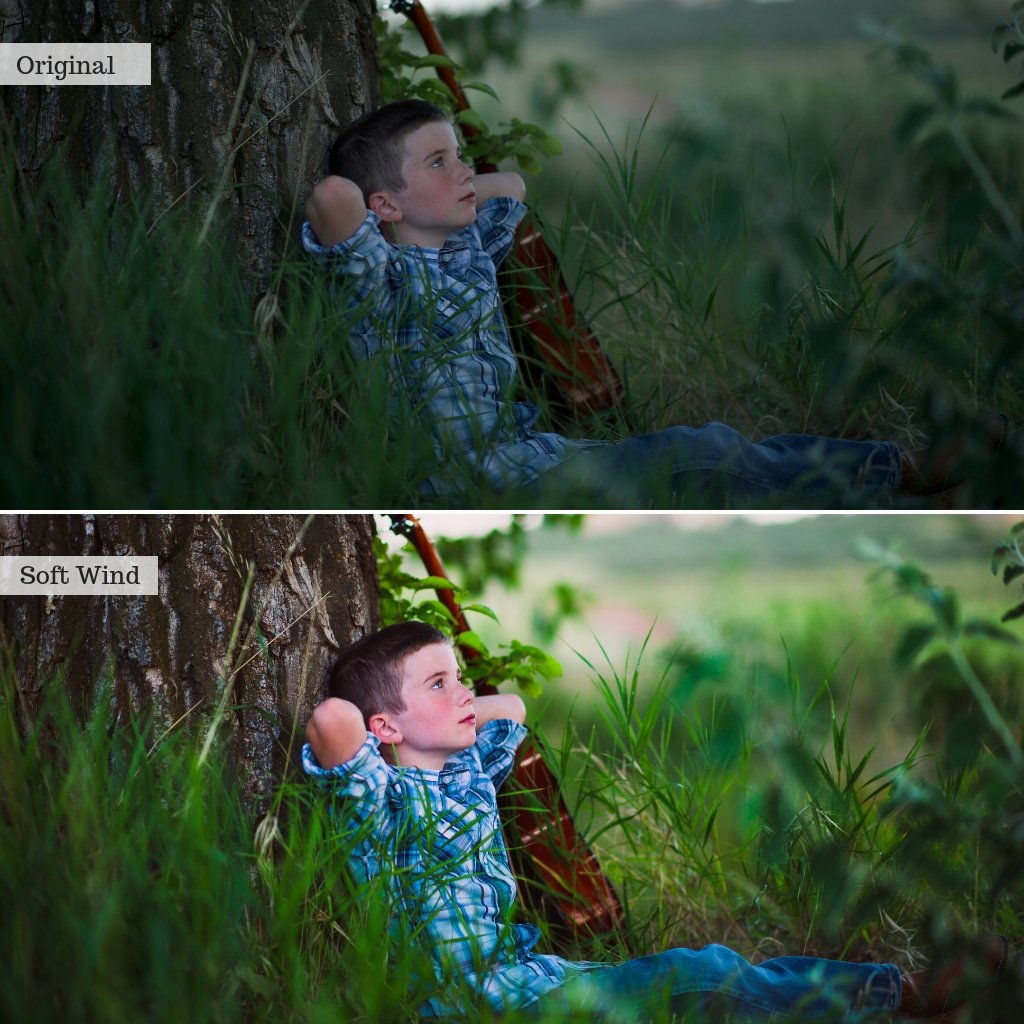 2025 Everything, Entire Store Lightroom Preset Bundle (98 Collections!)