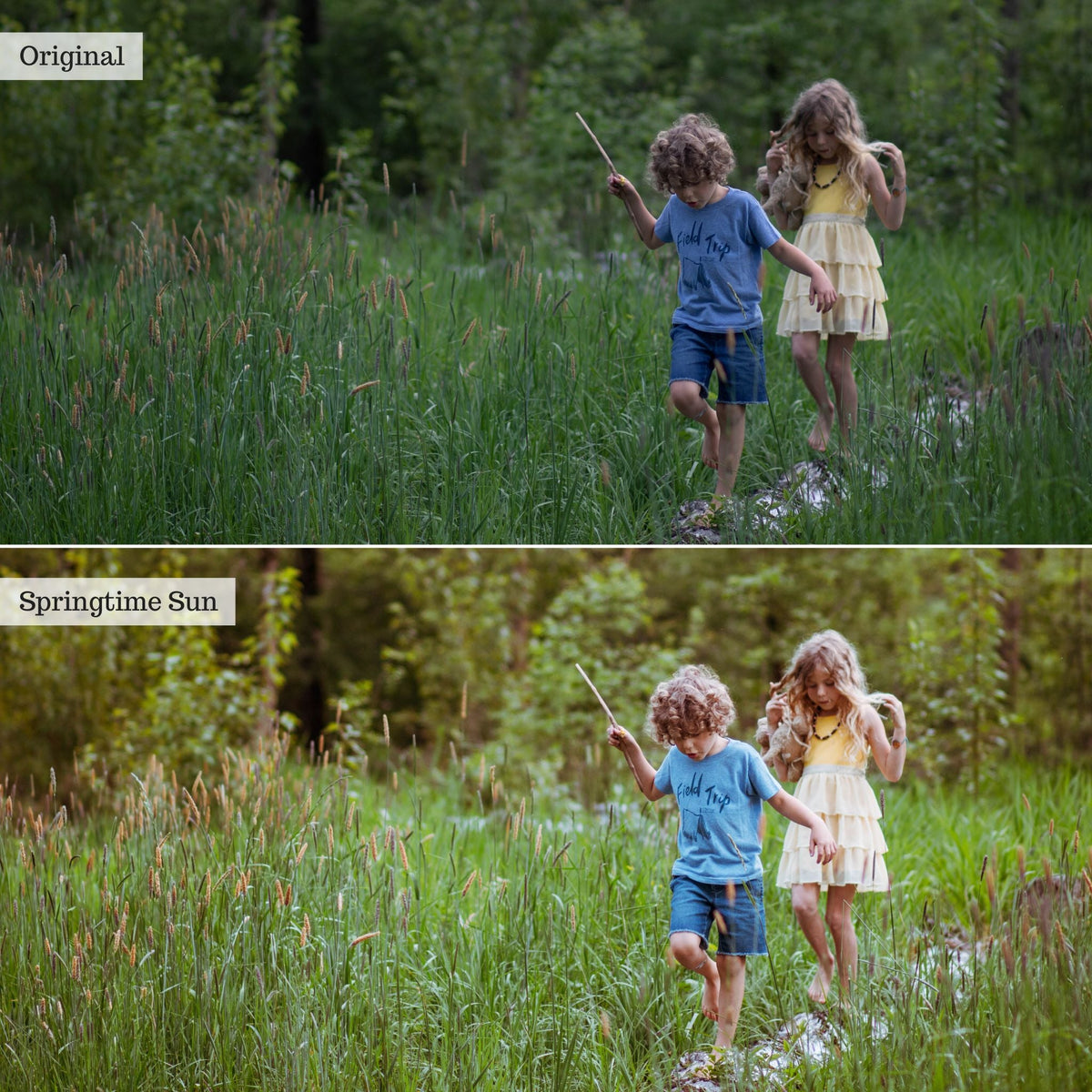 Clover n' Honey Spring & Summer Lightroom Presets – Desktop & Mobile