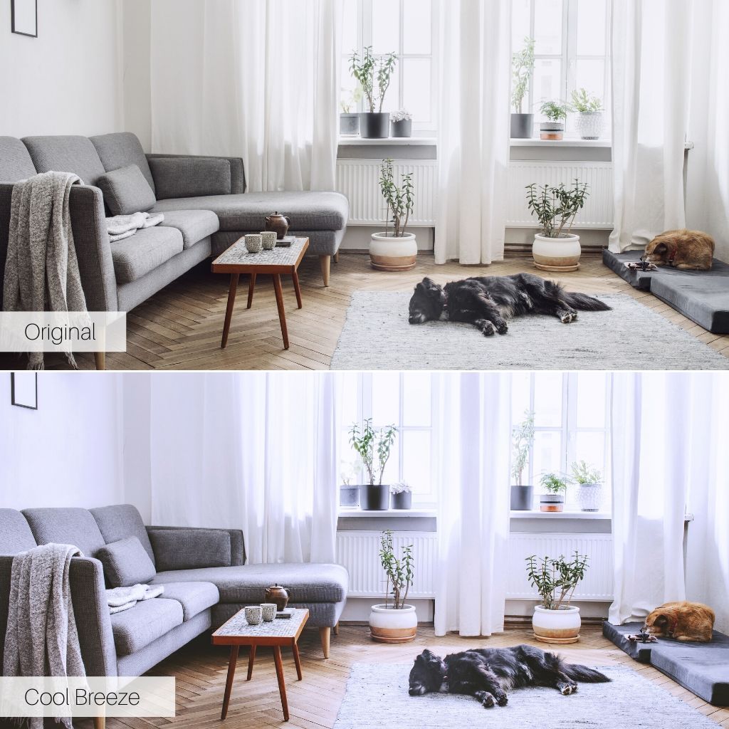 Light & Airy Photoshop Actions