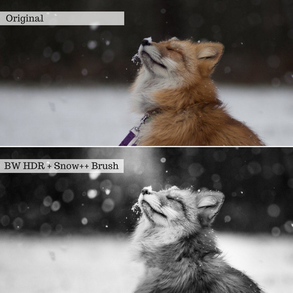 Luxe Preset Bundle (34 collections) for Lightroom & Photoshop – Desktop & Mobile