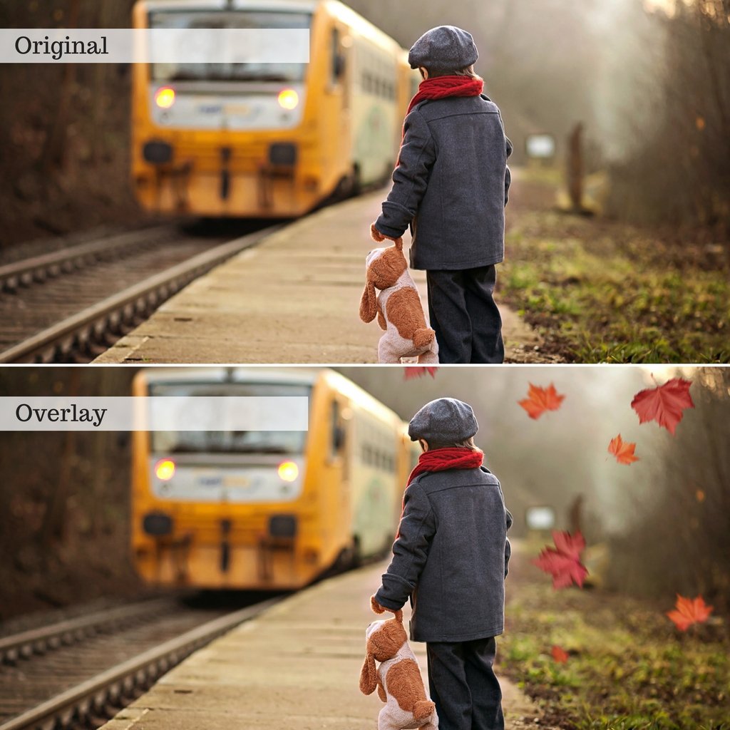 Leaf Overlays – Photoshop & More