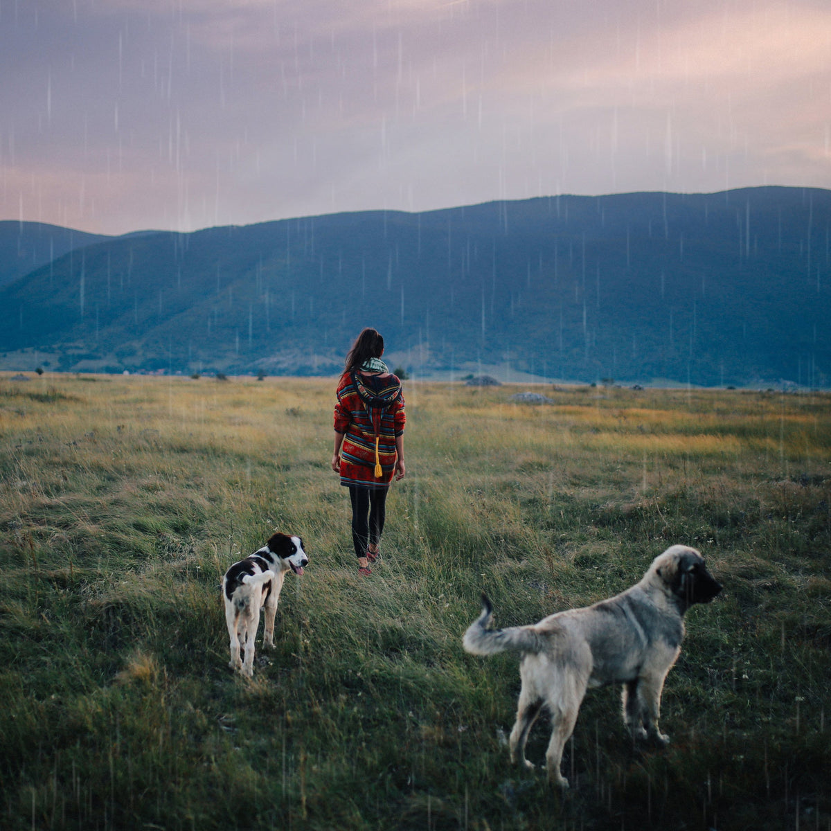 Rain & Rainbow Overlays – Photoshop & More