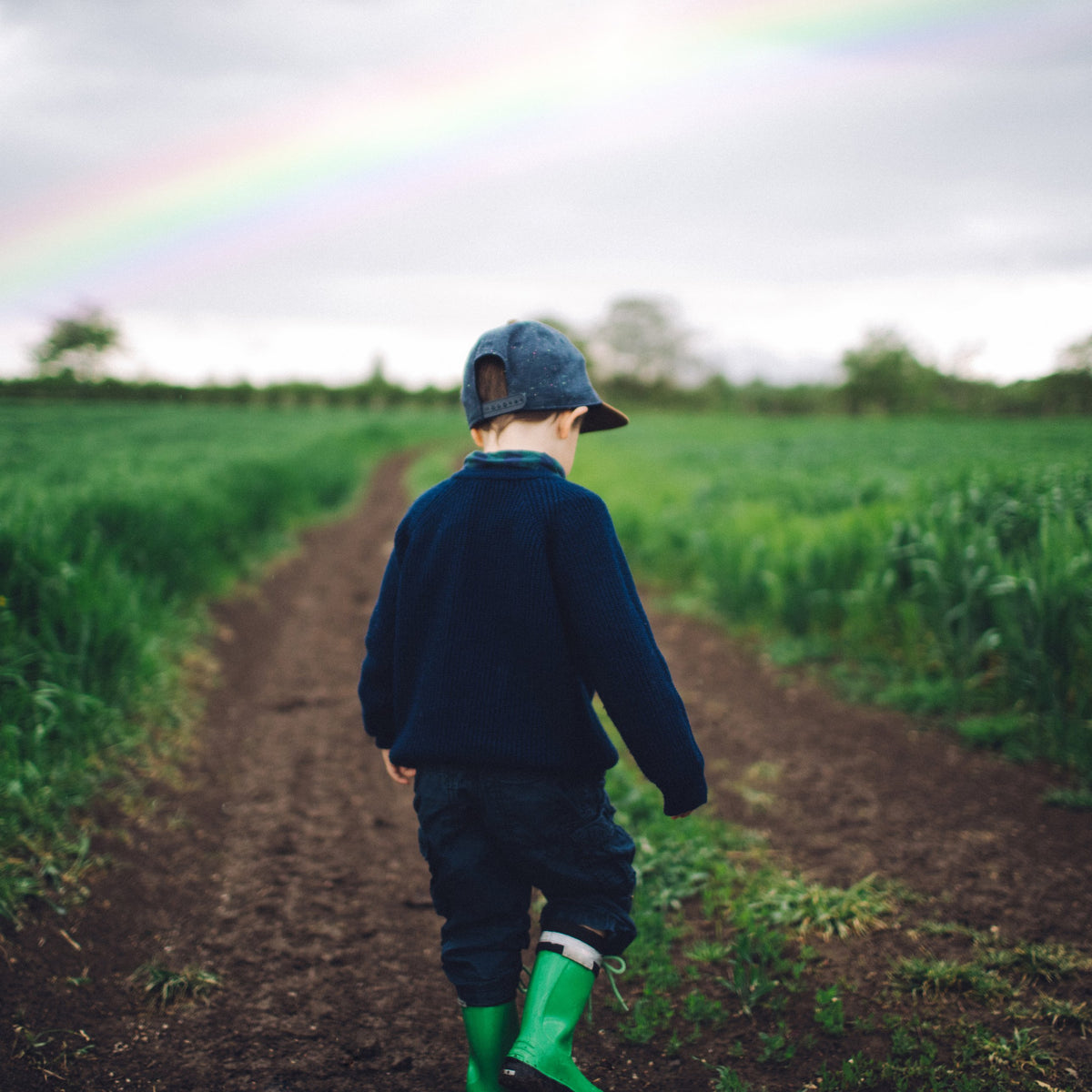 Rain & Rainbow Overlays – Photoshop & More