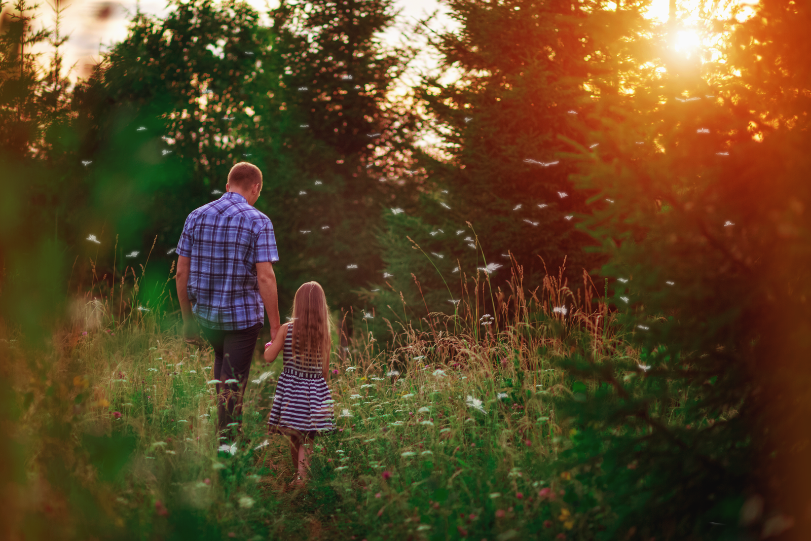 Enhance Your Workflow with the Adobe Creative Cloud for Photographers