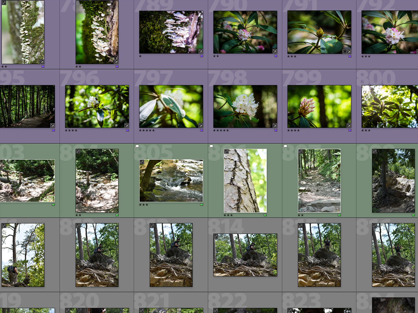 How to Use Lightroom: Culling of Photos in Lightroom Part 2