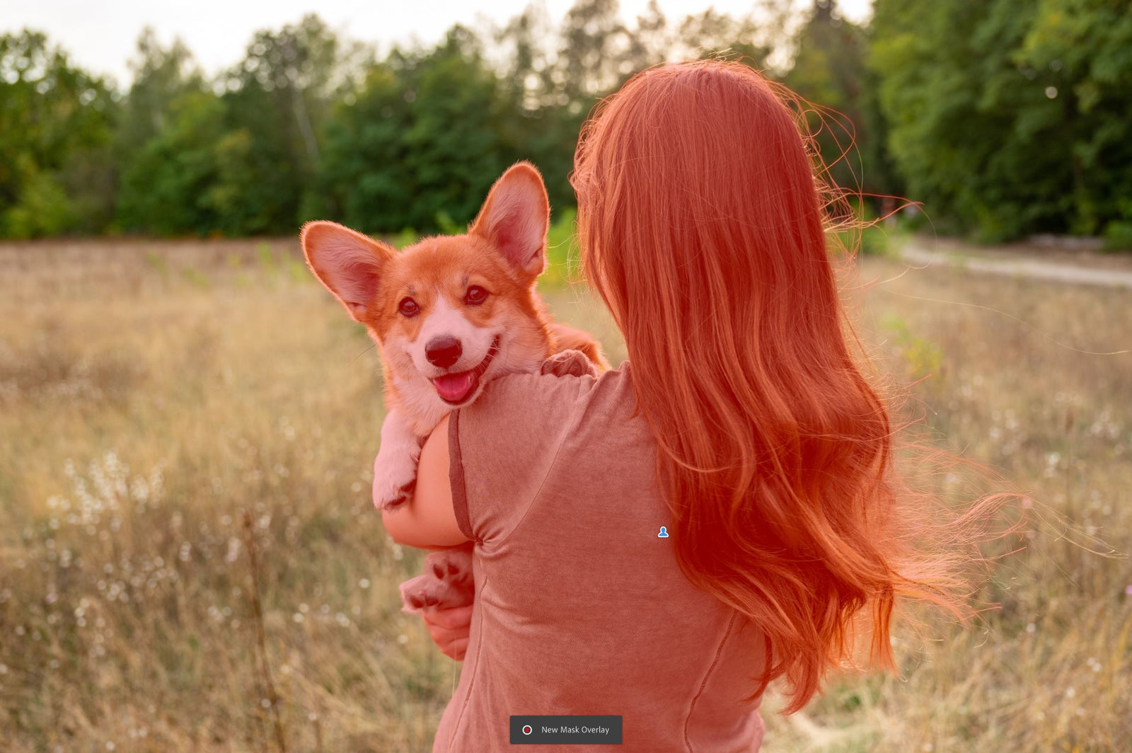 Local Adjustments using (New!) AI Masking in Lightroom