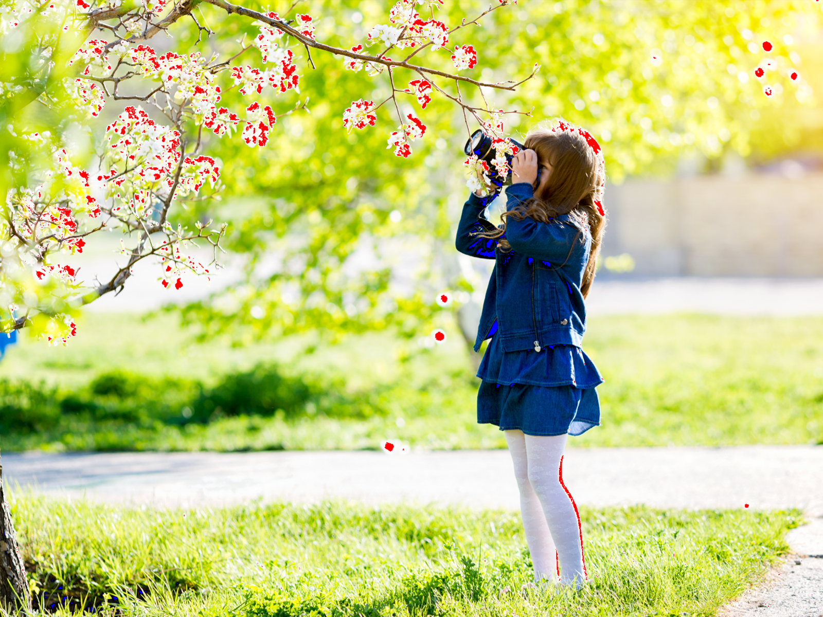 How to Use Lightroom: Seven Hidden Features and Tips for White and Black Points