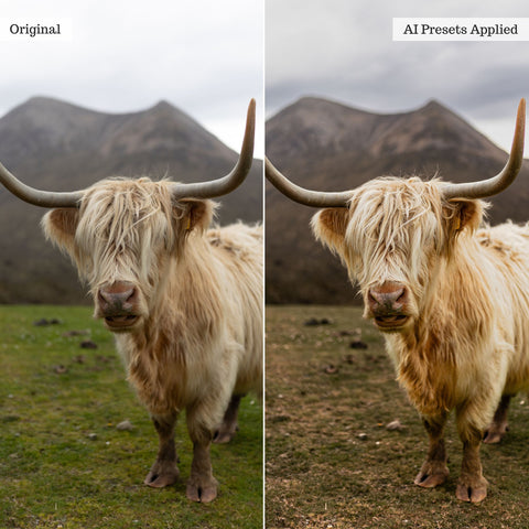 Landscape, Wildlife & Animals AI Adaptive Retouch Toolkit Lightroom Presets – Desktop & Mobile